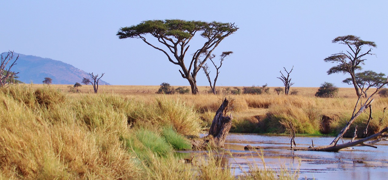 Tanzania